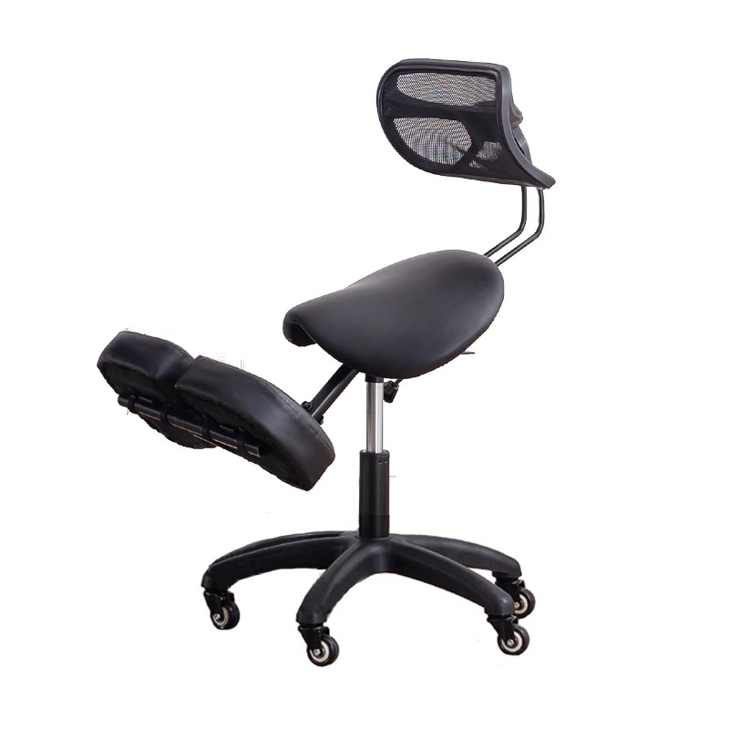 Ergonomic Kneeling Chair Stool - đánh giá và giá Home Improvement Books