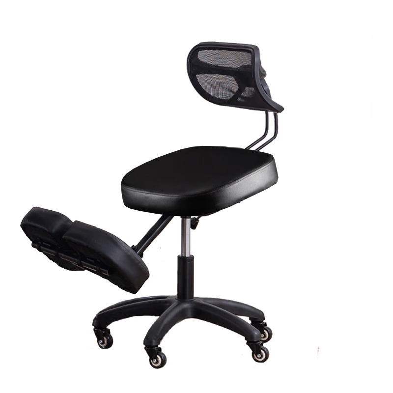 Ergonomic Kneeling Chair Stool - đánh giá và giá Home Improvement Books